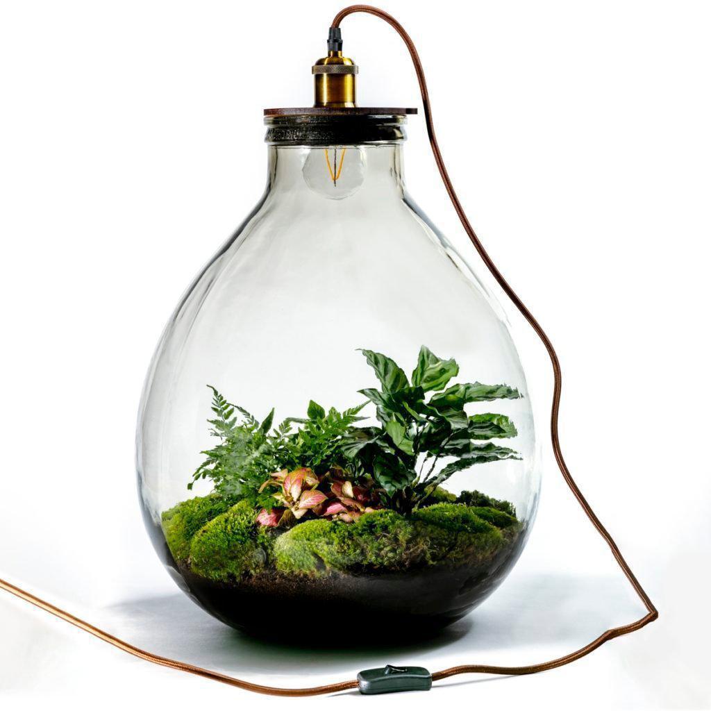 Terrarium-Lampe Ecolightxl ↑55Cm – vielgrün