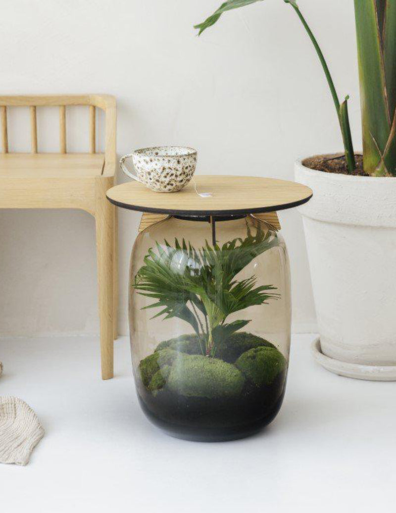 Terrarium-Tisch mit echter Livistona Palme↑45Cm / Ø33Cm – vielgrün